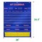 Calendar and Weather Pocket Chart with 148 Cards 108 Illustrated Activity Cards 40 Dry Erasable Flash Cards and 3 Hooks 28 x 35.5 Inches